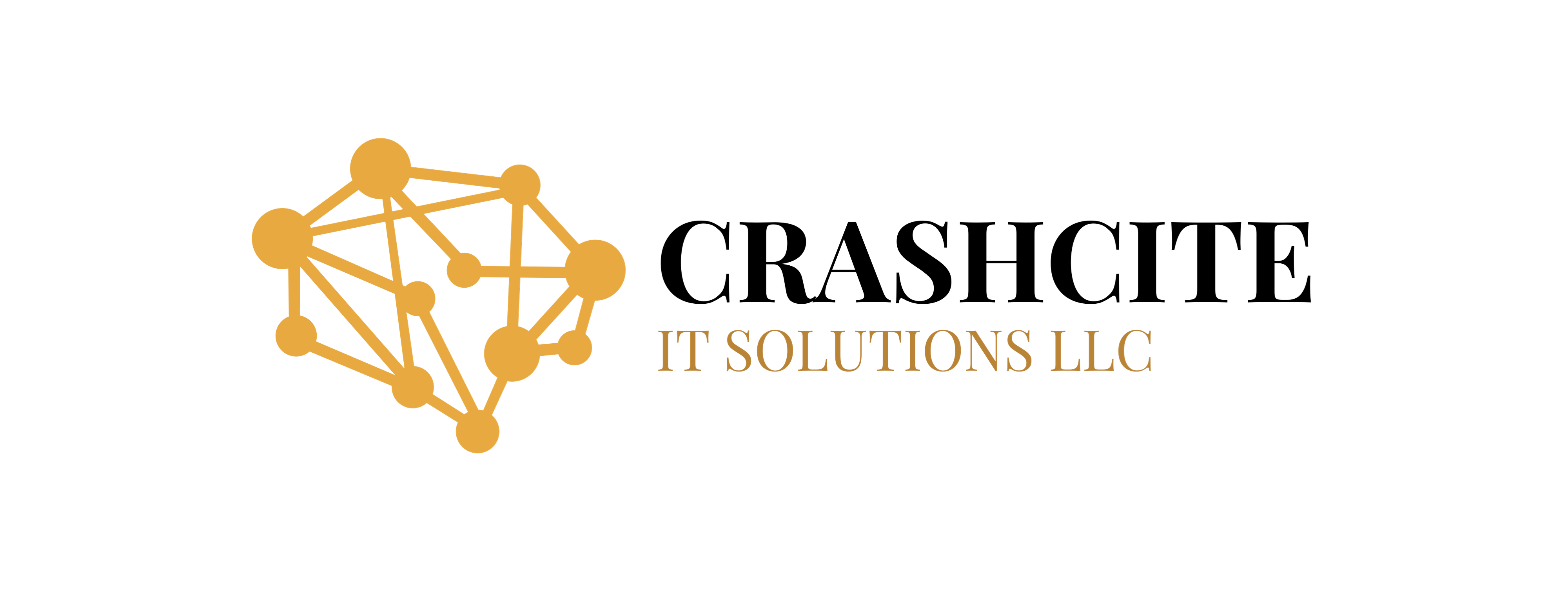 CrashCite IT Solutions LLC